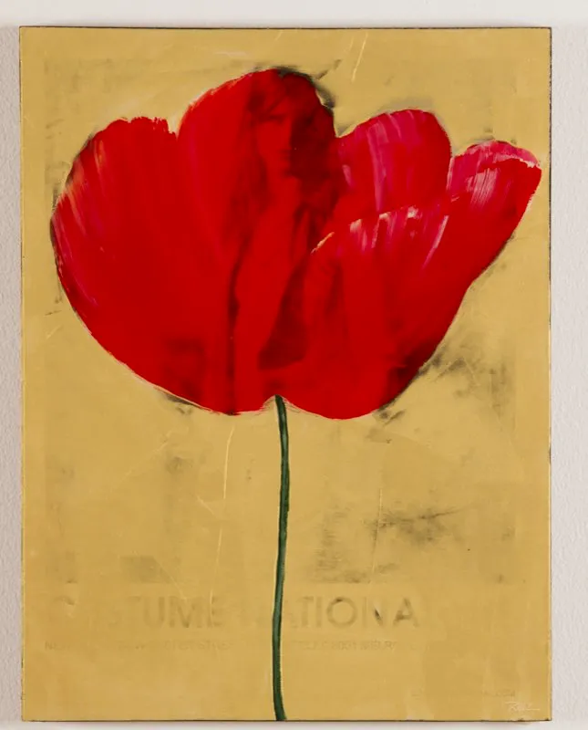 De la serie Amapolas | 2008-2011 | Dimensiones varias