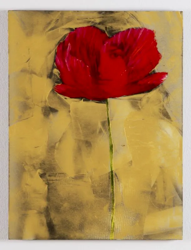 De la serie Amapolas | 2008-2011 | Dimensiones varias
