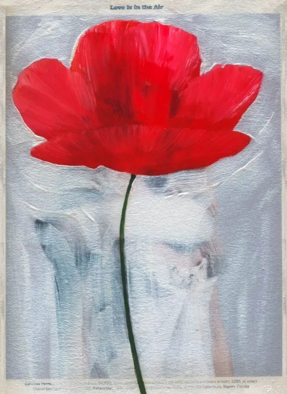 De la serie Amapolas | Dimensiones varias | 2008-2011