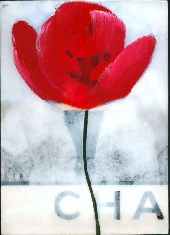 De la serie Amapolas | Dimensiones varias | 2008-2011