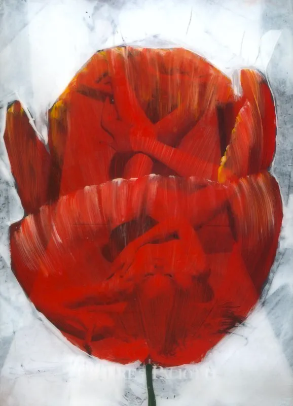 De la serie Amapolas | Dimensiones varias | 2008-2011