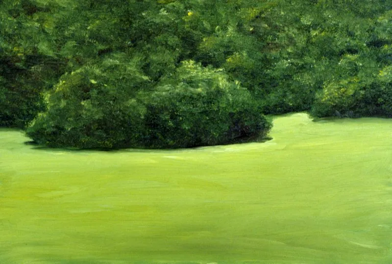 Serie Hi 8 Bogot | leo sobre madera | 20 cm x 30 cm | 2001 