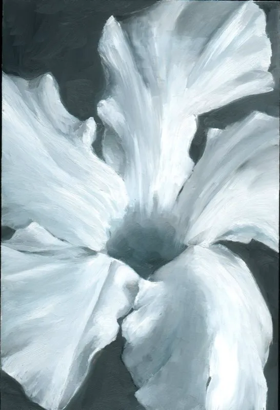 Serie Hi 8 Miami | leo sobre madera | 30 cm x 20 cm | 2002 