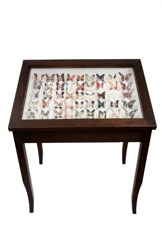 Serie Las alas de la memoria: Entomología | Ensamblaje | 92 cm x 59 cm x 57 cm | 1999