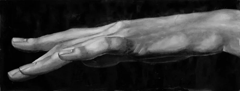 Close up 1 | Acrílico sobre tela | 75 cm x 200 cm | 2004