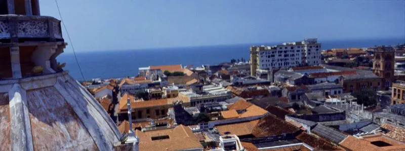 Vista de la ciudad hacia el occidente desde la cúpula de la catedral. Carlos Hoyos