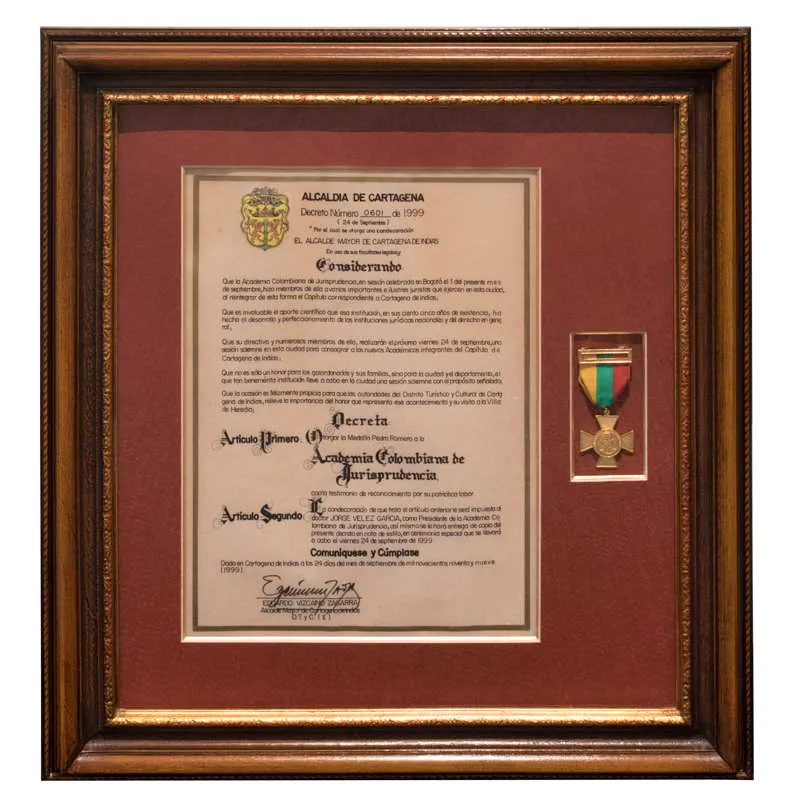 La Medalla Pedro Romero de Cartagena.