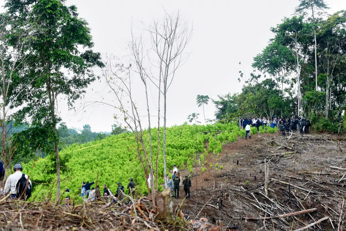 Visita a erradicadores en Vereda El Llorente, Tumaco, Nariño, 16 de enero de 2020.