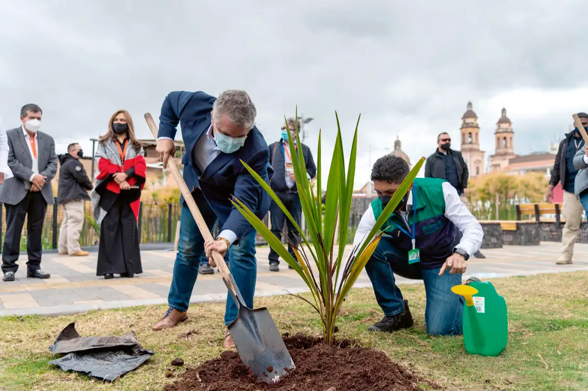Siembra de árboles municipio de Chachagüí, Nariño, 17 de octubre de 2020.